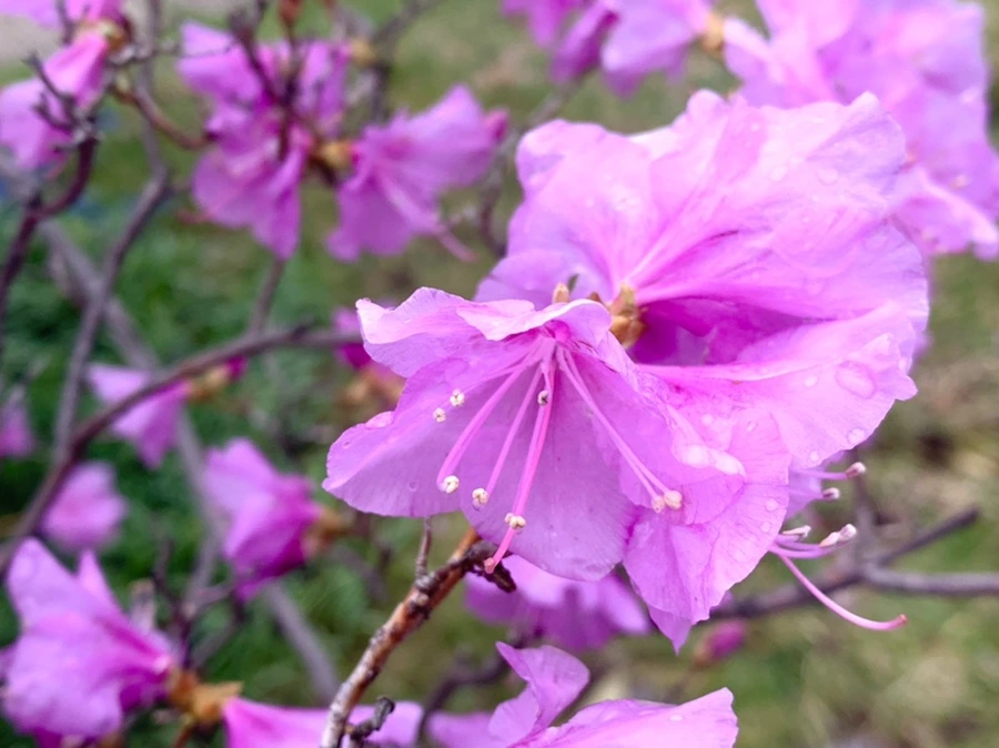 IMG_6140.jpg?type=w966