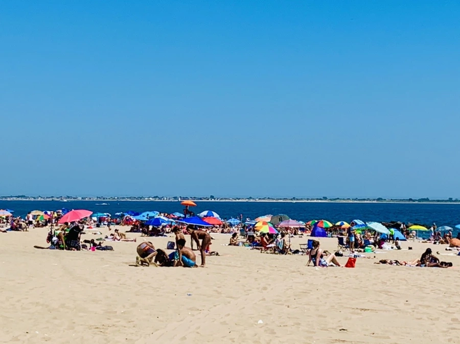 IMG_8832.jpg?type=w966