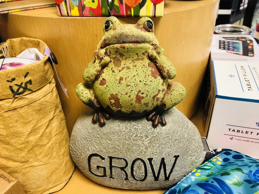 IMG_3885.jpg?type=w966