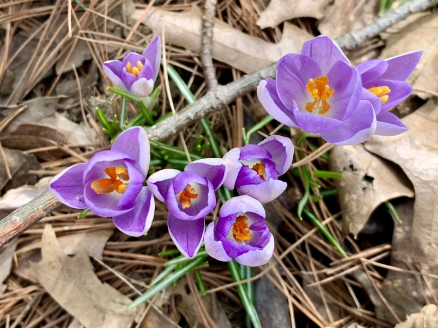 IMG_0435.jpg?type=w966