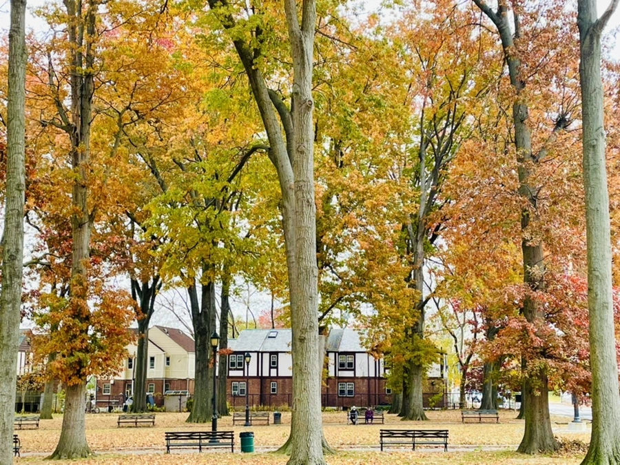 IMG_4489.jpg?type=w966