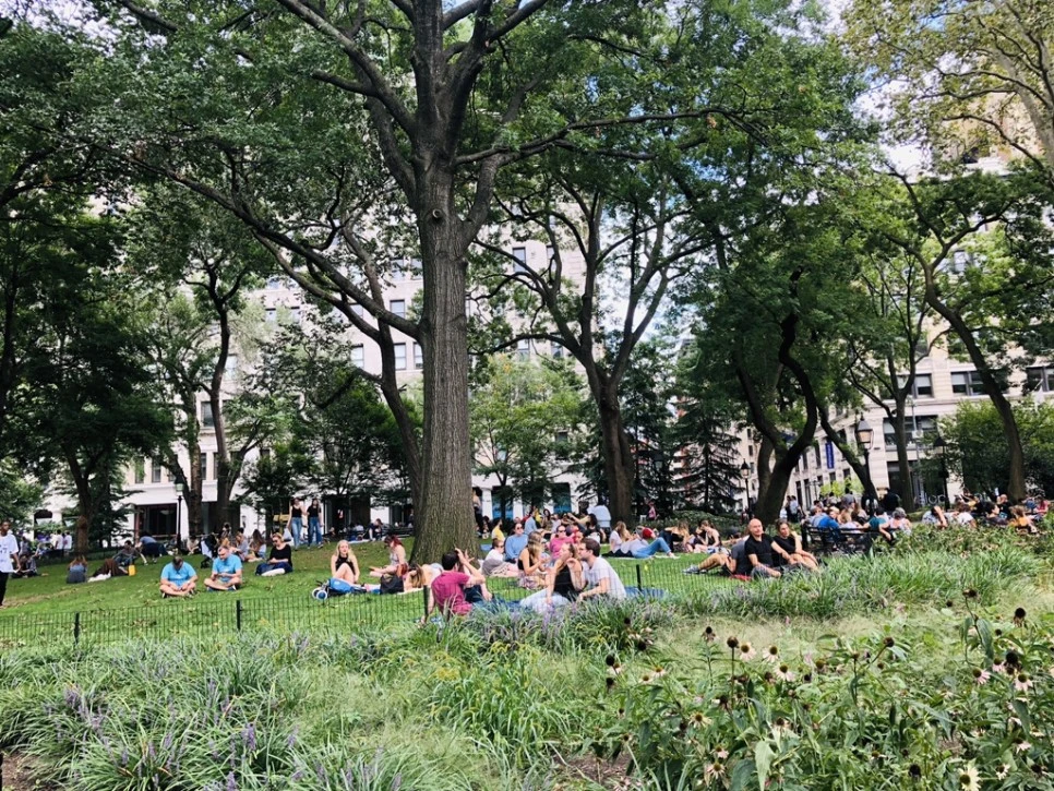 IMG_9862.jpg?type=w966