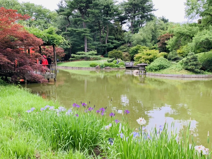 IMG_2977.jpg?type=w966