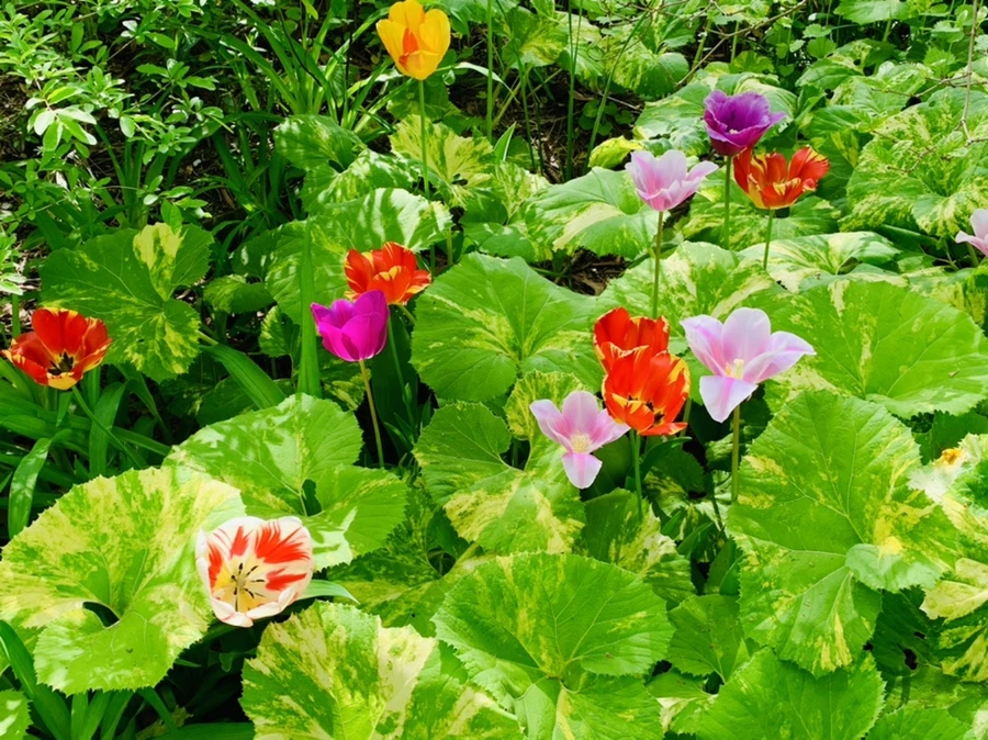 IMG_6863.jpg?type=w966