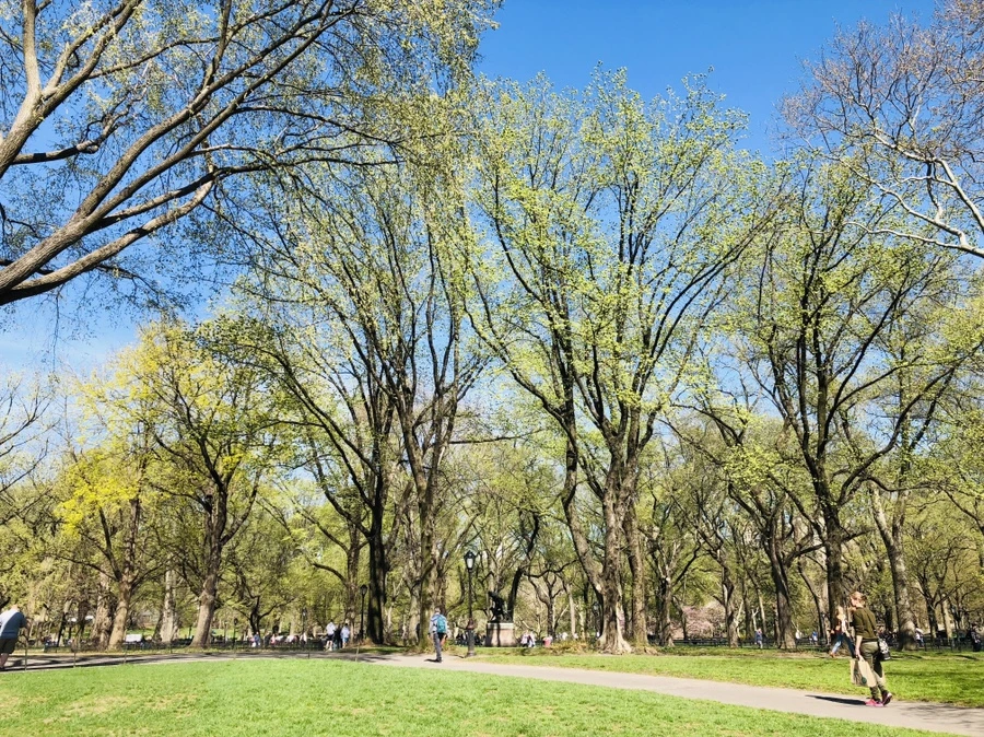 IMG_3116.jpg?type=w966