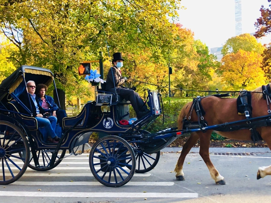 IMG_3620.jpg?type=w966