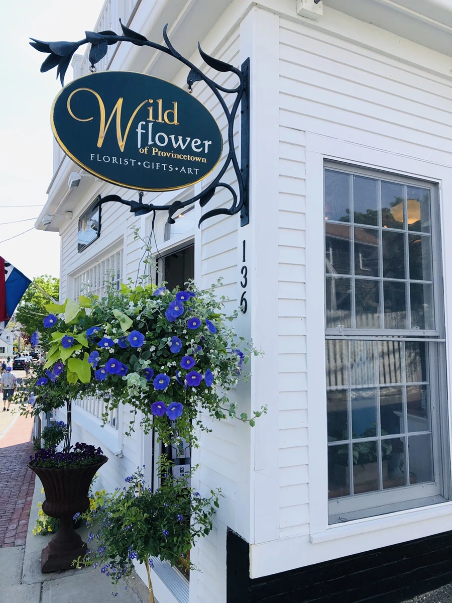 IMG_5102.jpg?type=w966