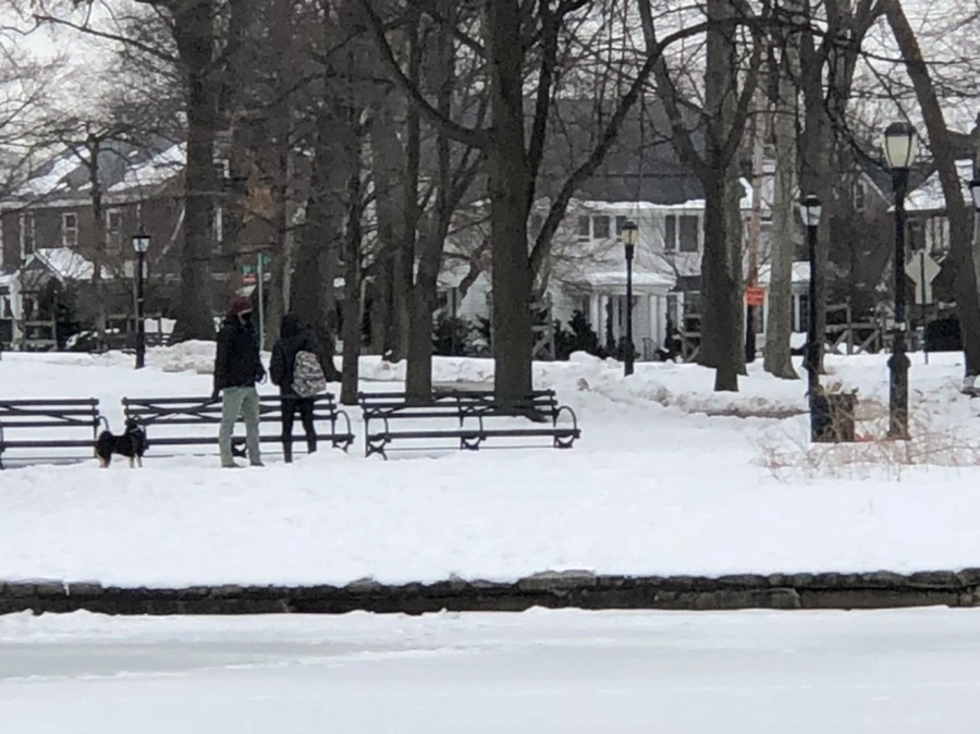 IMG_2743.jpg?type=w966