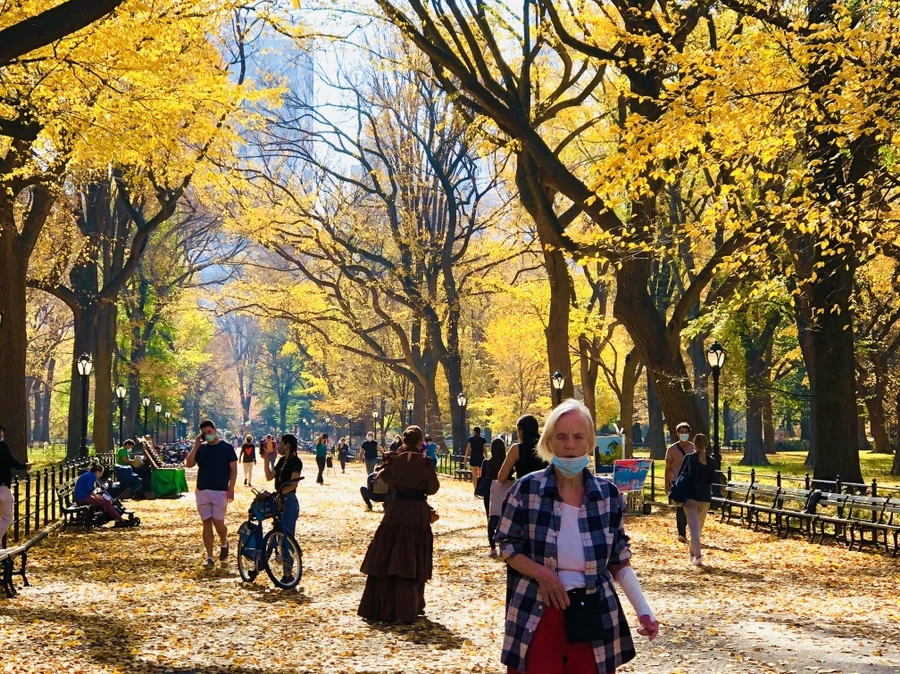 IMG_4314.jpg?type=w966