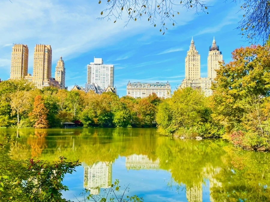 IMG_0253.jpg?type=w966