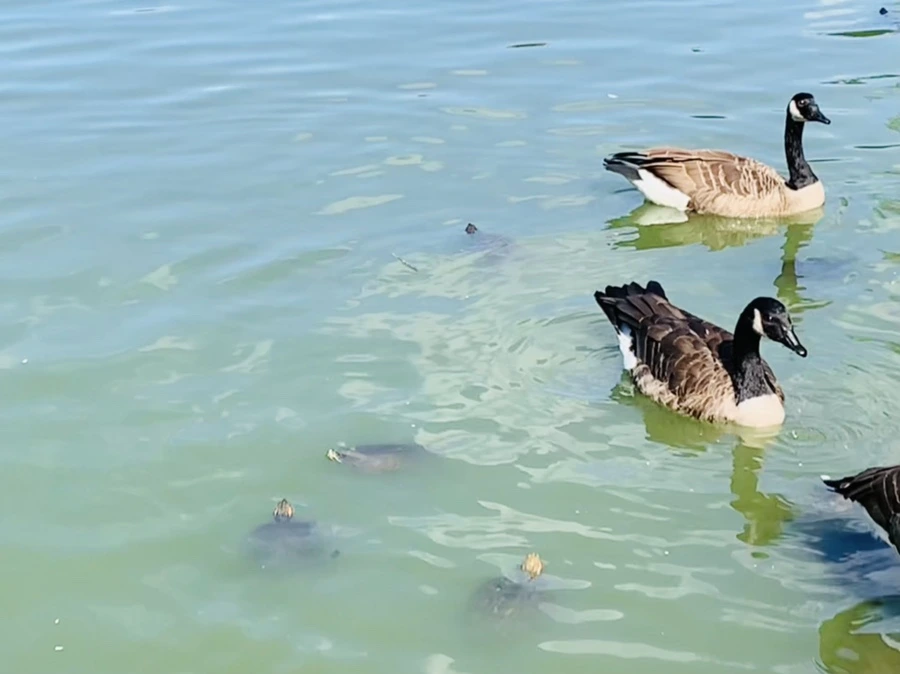 IMG_9713.jpg?type=w966