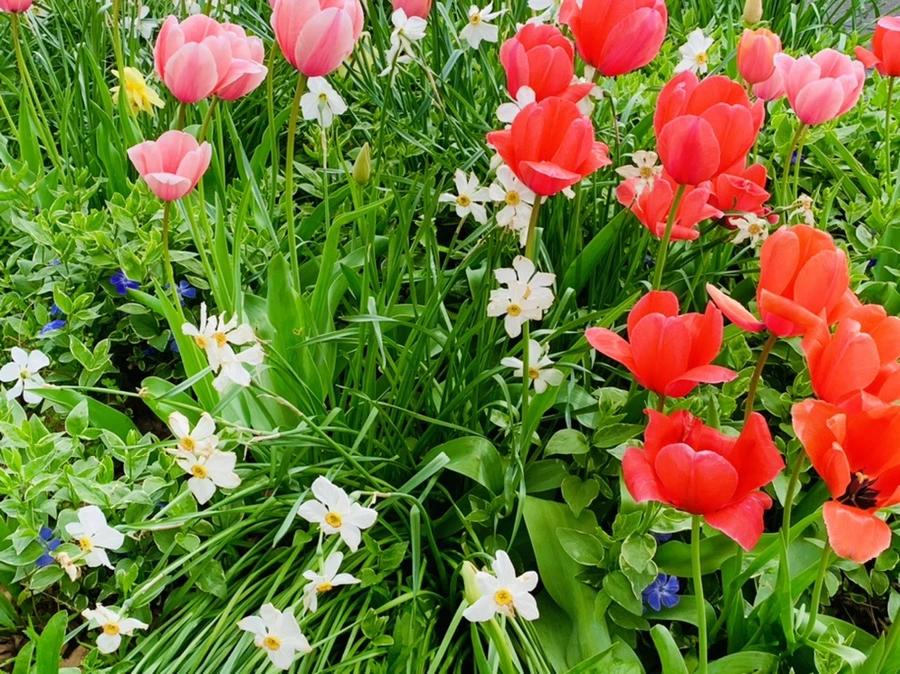 IMG_6960.jpg?type=w966