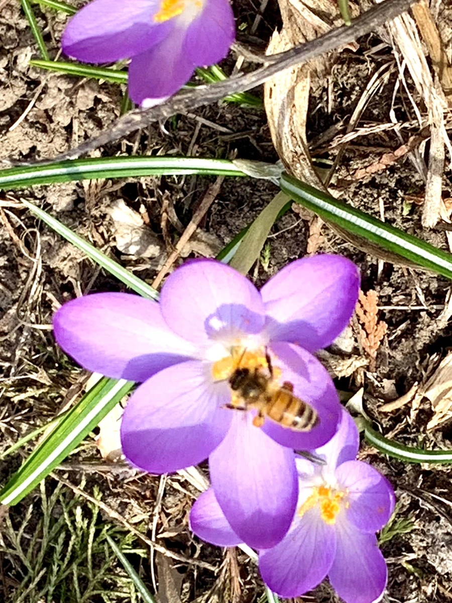 IMG_0273.jpg?type=w966