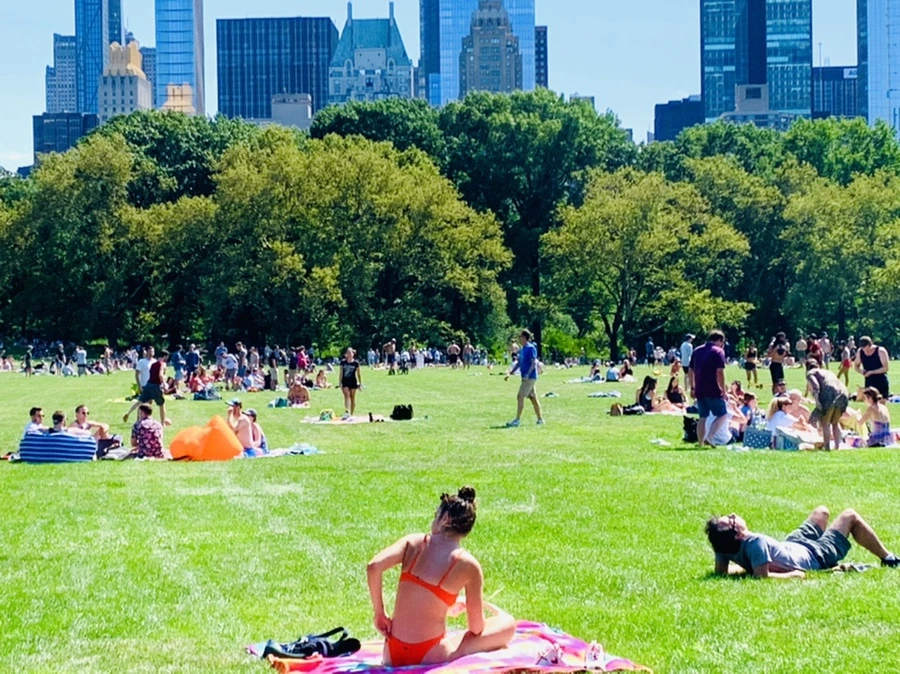 IMG_4395.jpg?type=w966