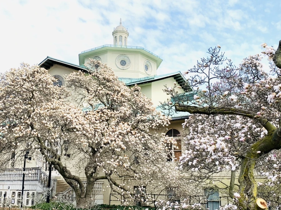 IMG_7185.jpg?type=w966