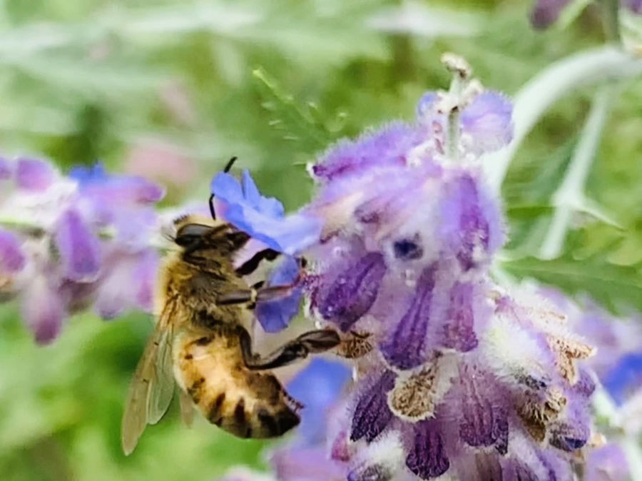 IMG_5950.jpg?type=w966