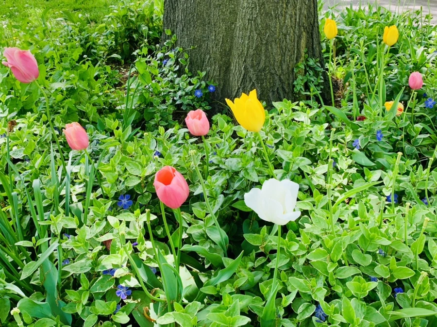 IMG_1389.jpg?type=w966