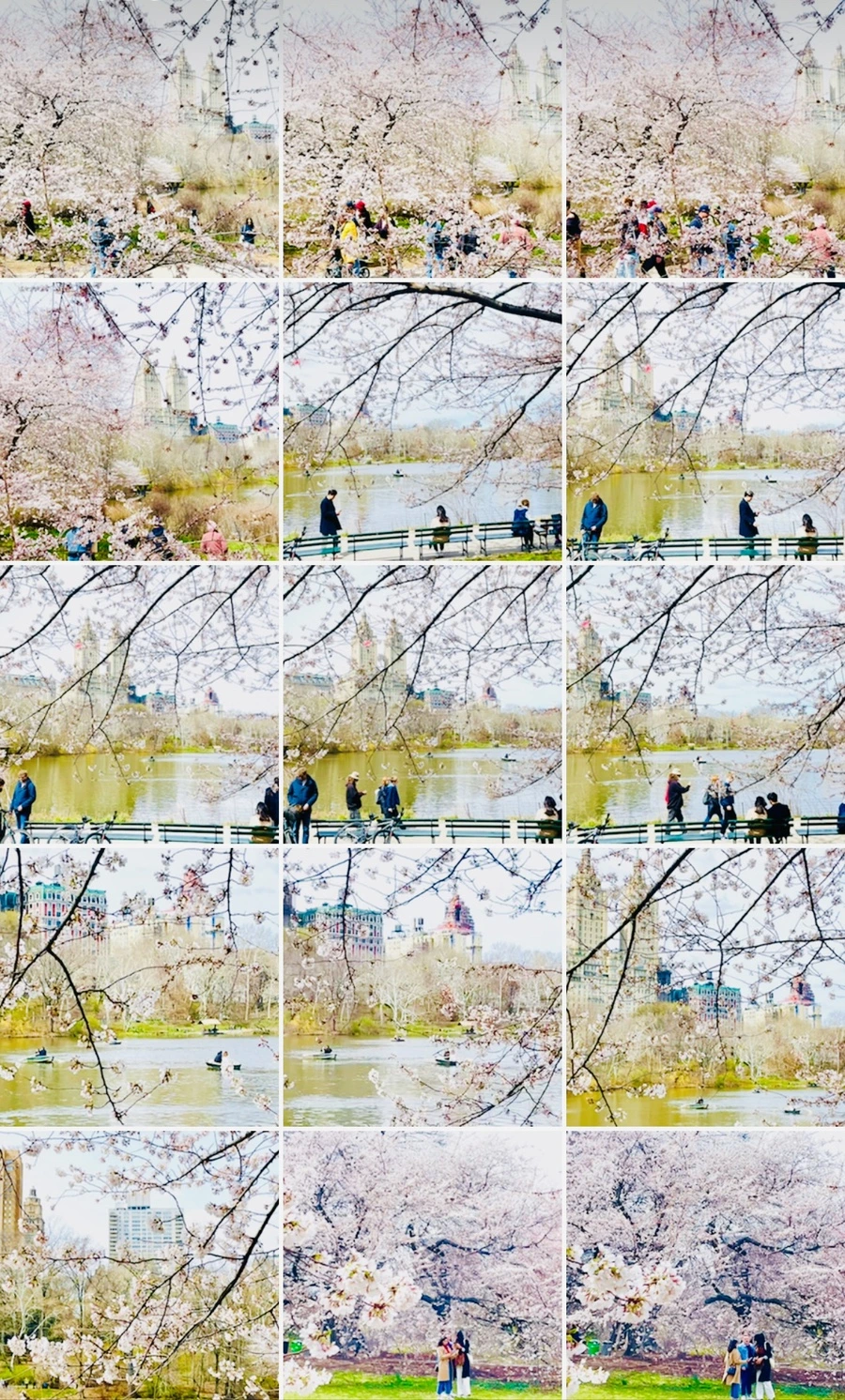 IMG_8993.jpg?type=w966