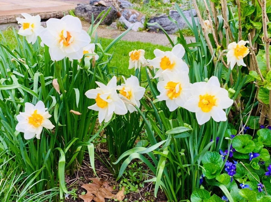 IMG_4058.jpg?type=w966