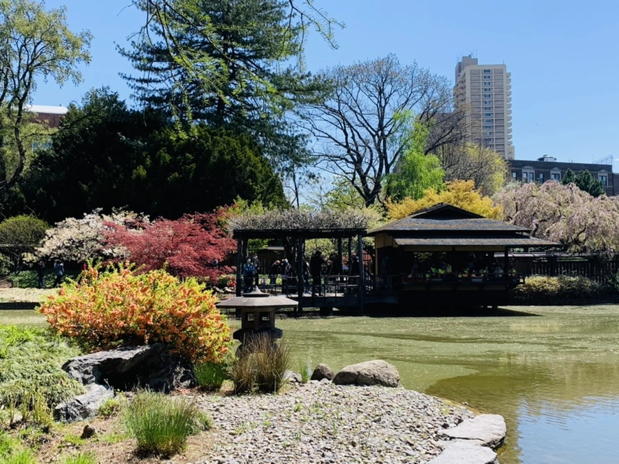 IMG_4738.jpg?type=w966