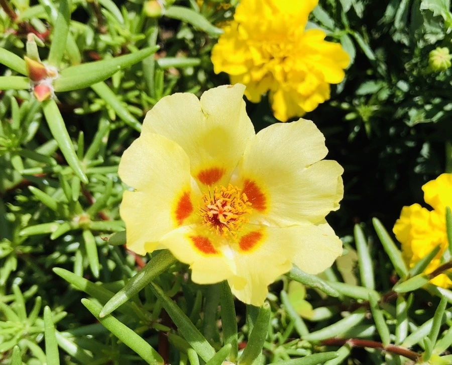 1khH5cB85vKqeHjF6E8wlq1P7q0