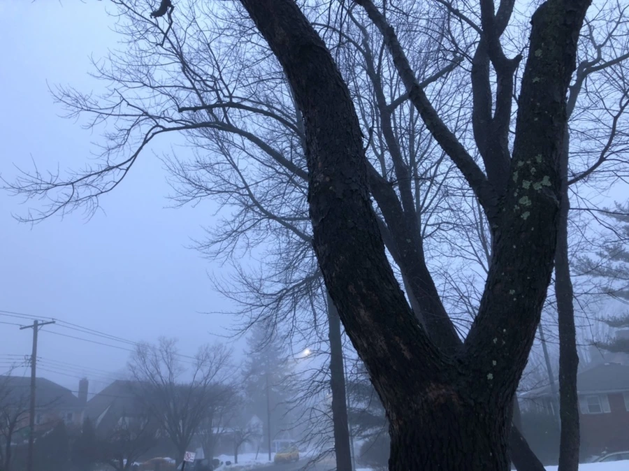 IMG_2792.jpg?type=w966