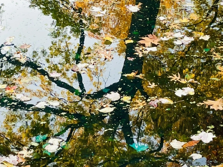 IMG_1914.jpg?type=w966