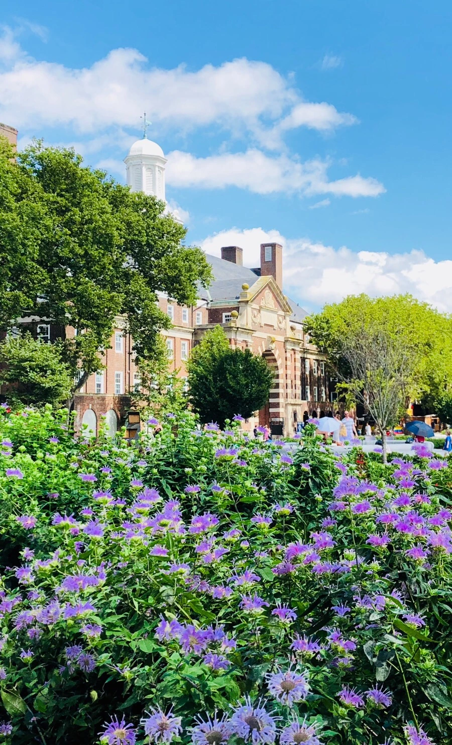 IMG_0537.jpg?type=w966