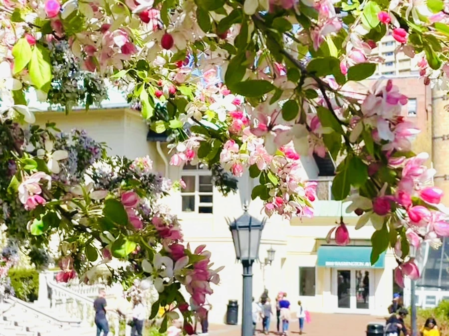 IMG_2018.jpg?type=w966