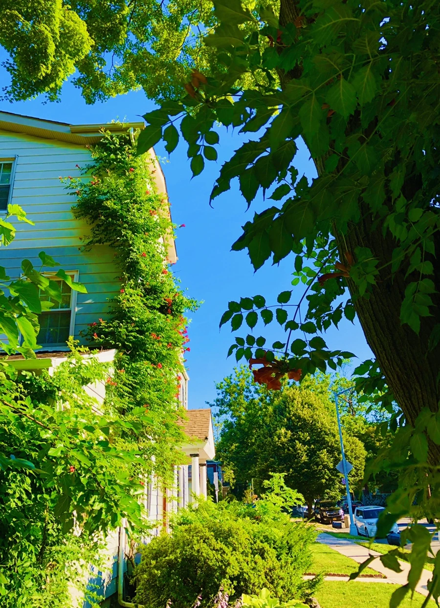 IMG_2761.jpg?type=w966