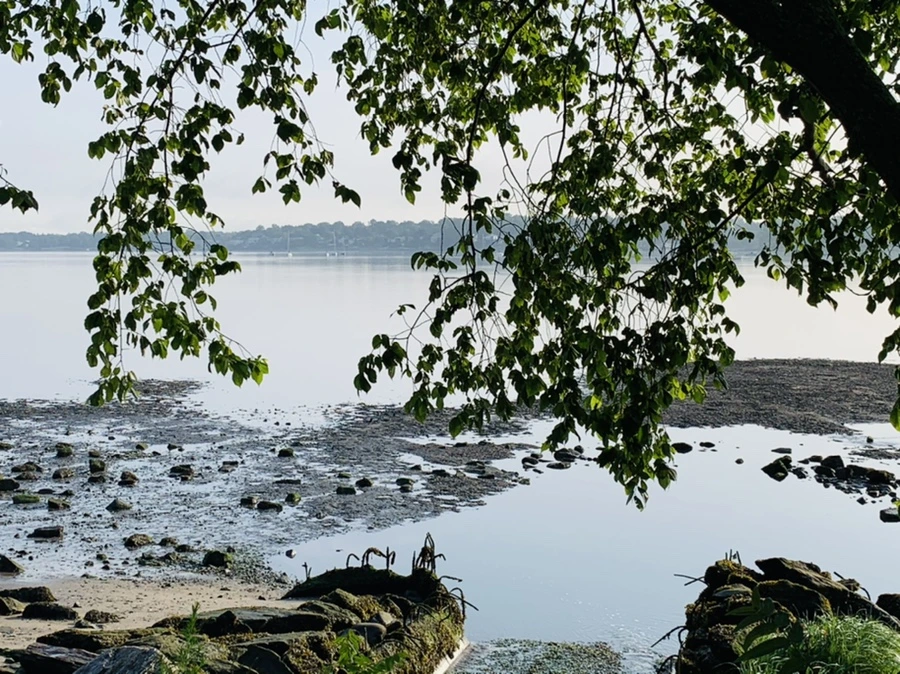 IMG_4397.jpg?type=w966