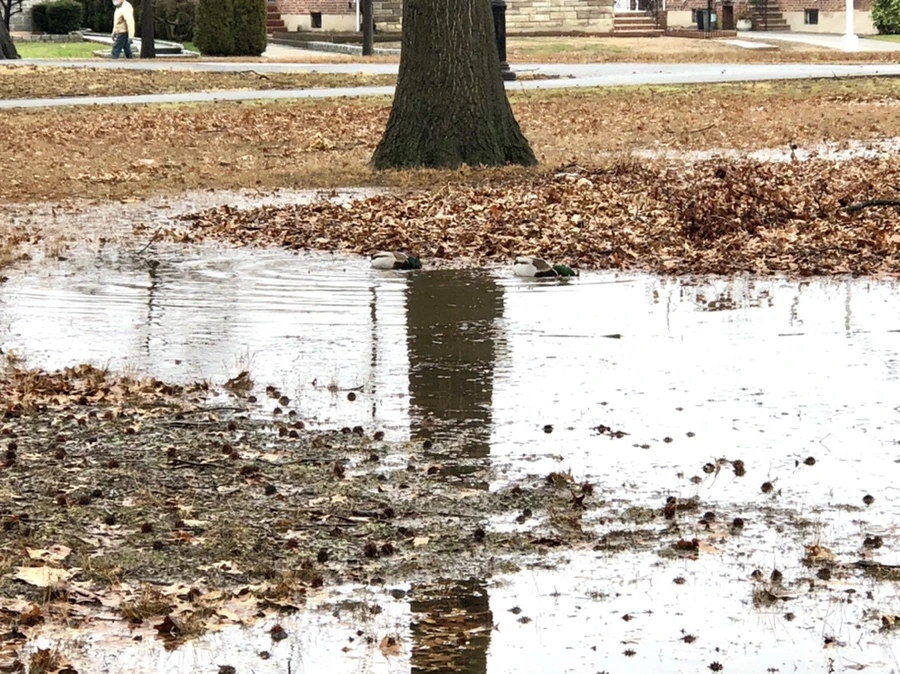 IMG_3379.jpg?type=w966