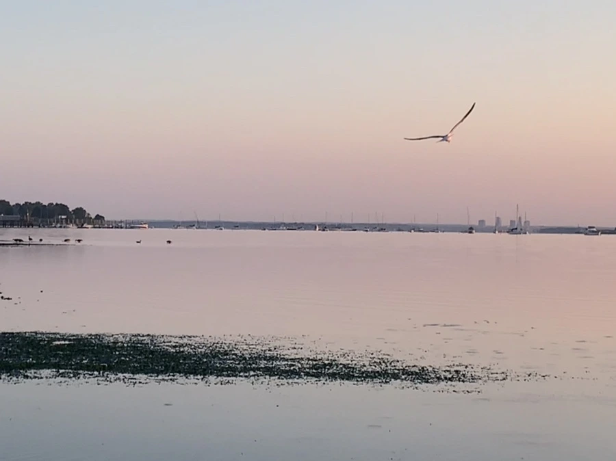 IMG_0154.jpg?type=w966