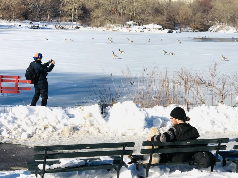 IMG_9853.jpg?type=w966