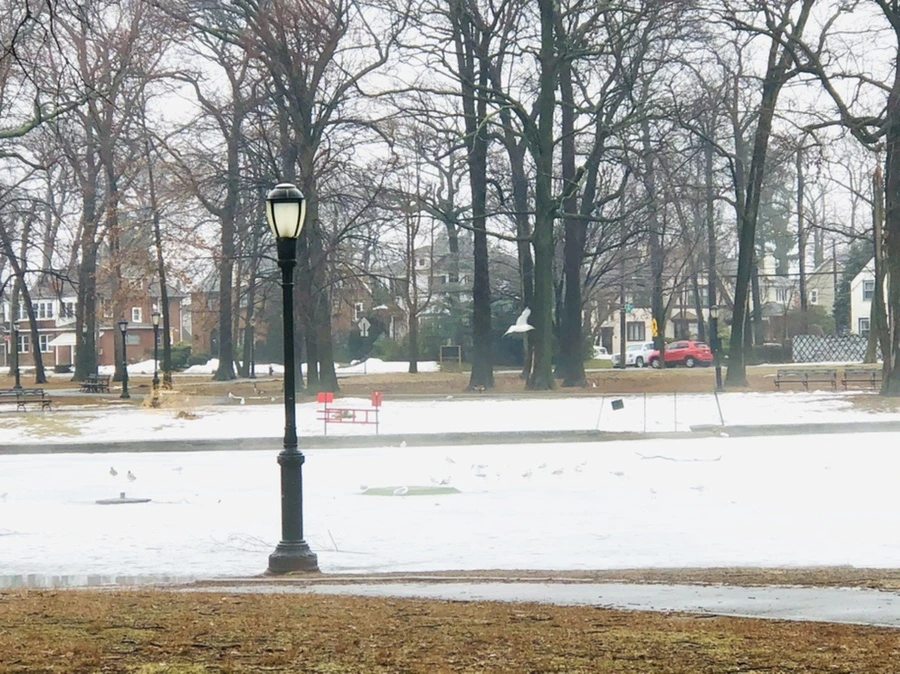 IMG_5753.jpg?type=w966