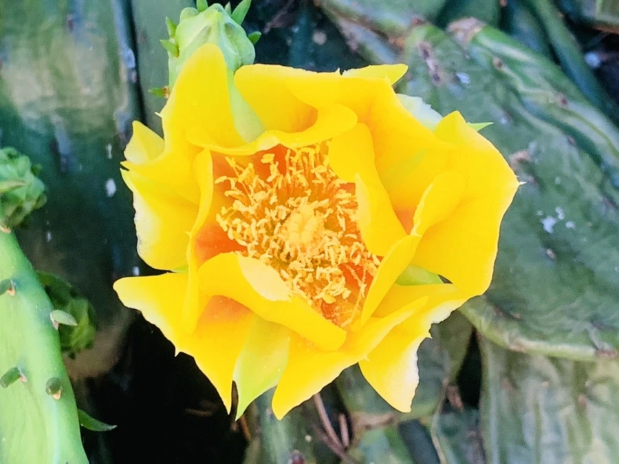 IMG_4339.jpg?type=w966