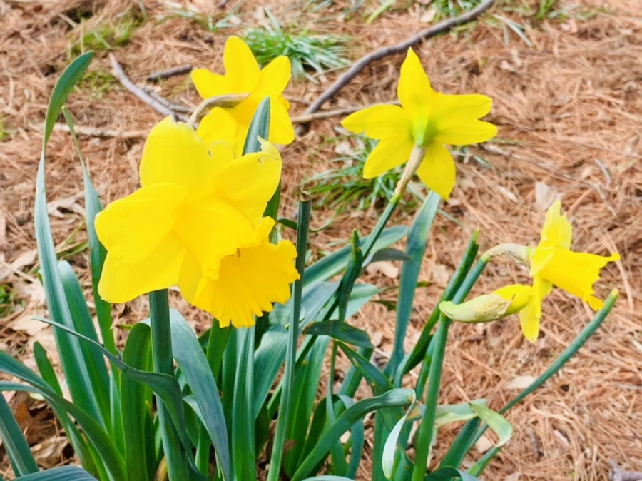 IMG_6357.jpg?type=w966