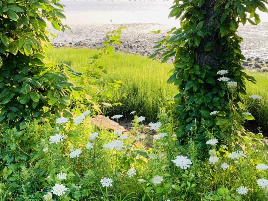 IMG_9797.jpg?type=w966