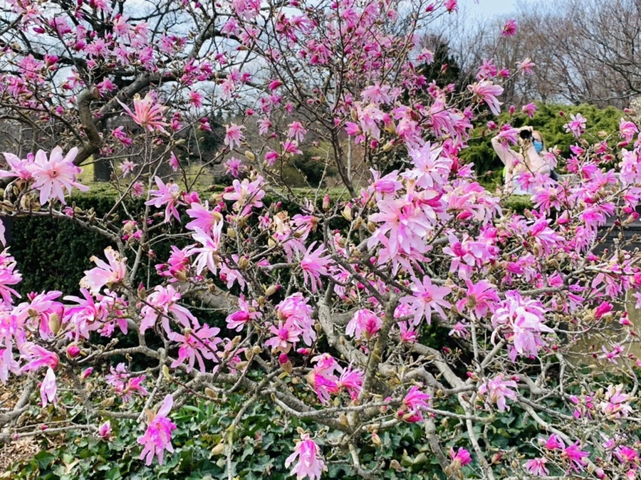 IMG_7246.jpg?type=w966