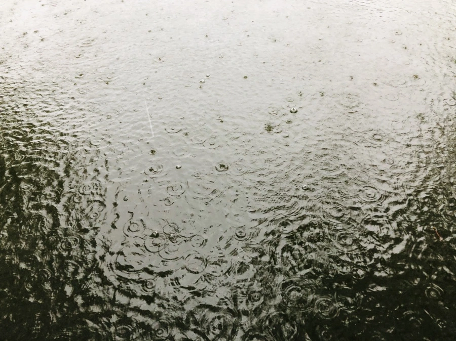 IMG_5094.jpg?type=w966