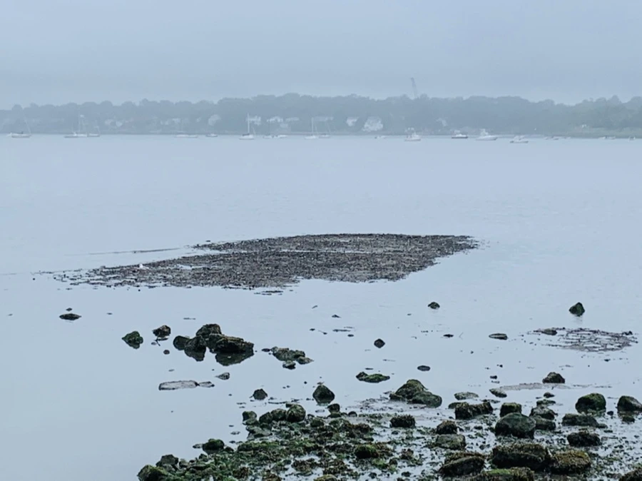 IMG_4752.jpg?type=w966