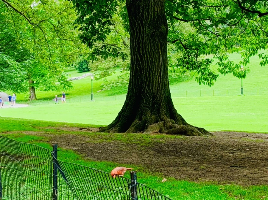 IMG_9925.jpg?type=w966