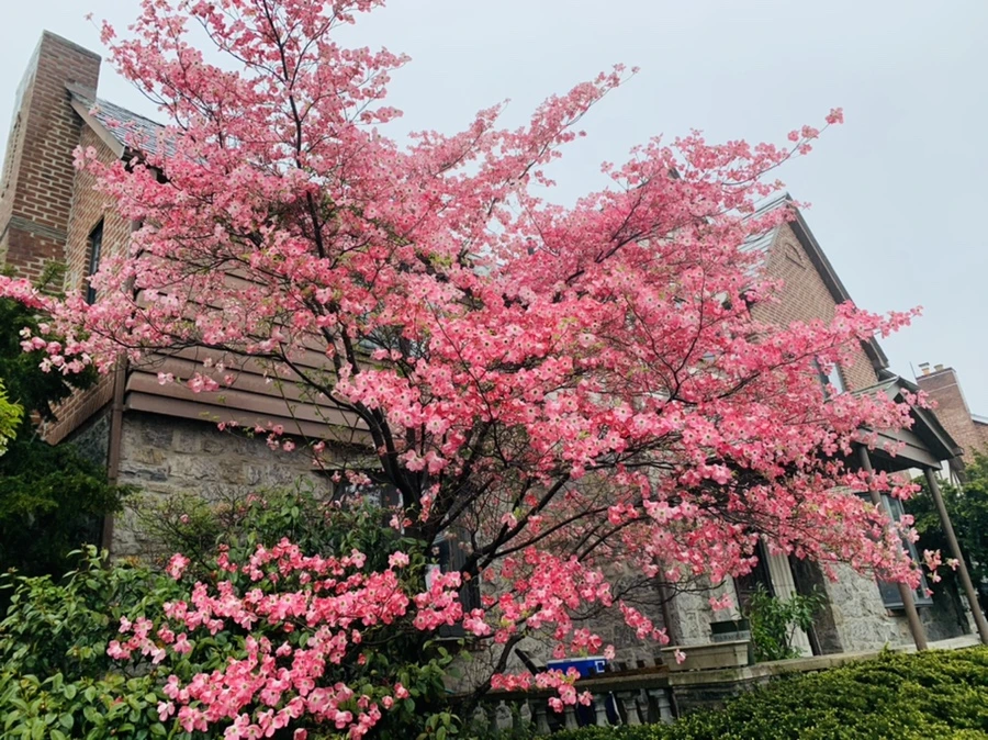 IMG_5325.jpg?type=w966