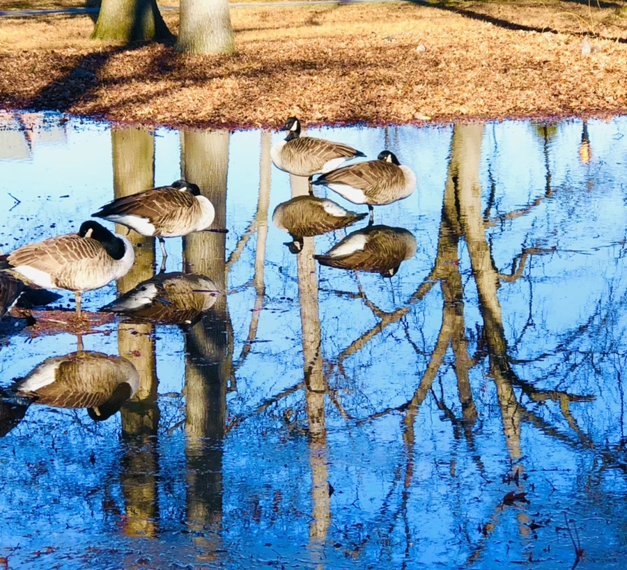 IMG_9786.jpg?type=w966