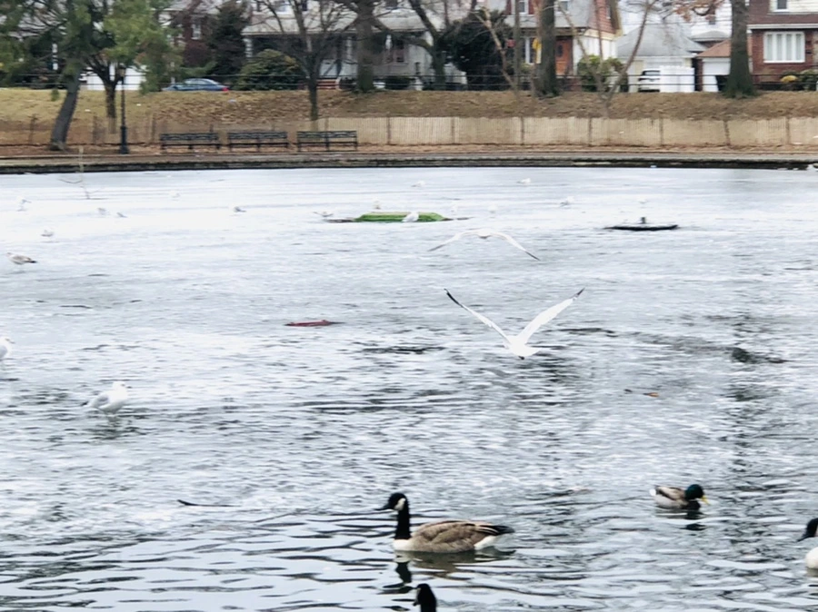 IMG_6138.jpg?type=w966