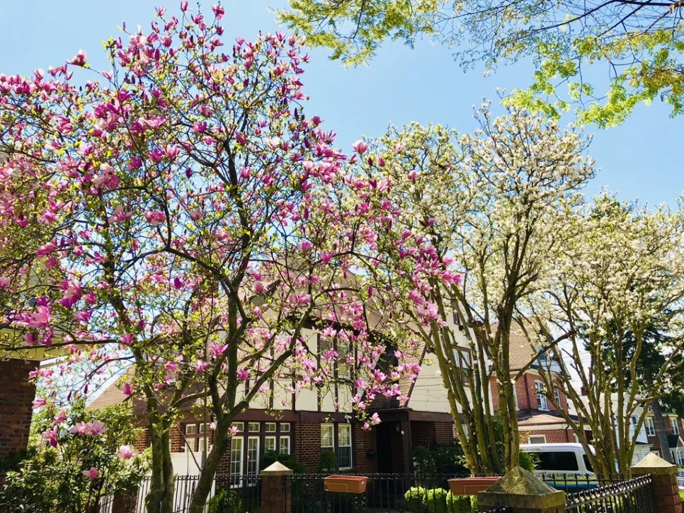 IMG_3484.jpg?type=w966