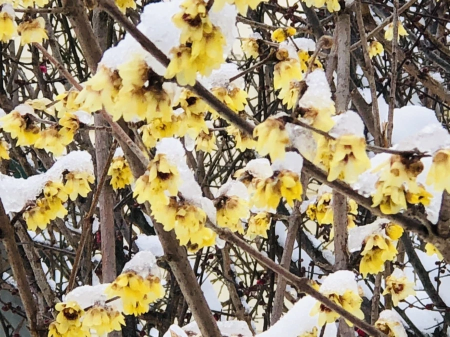 IMG_9070.jpg?type=w966