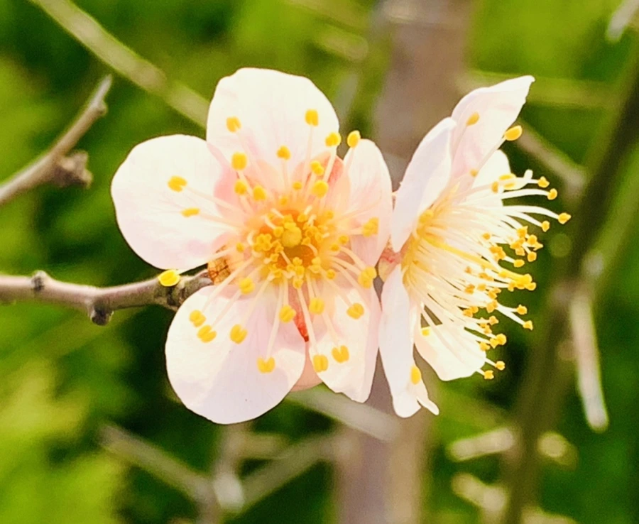 IMG_0261.jpg?type=w966