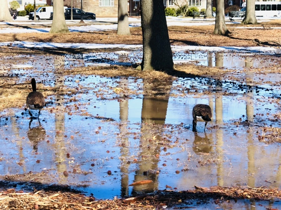 IMG_4657.jpg?type=w966