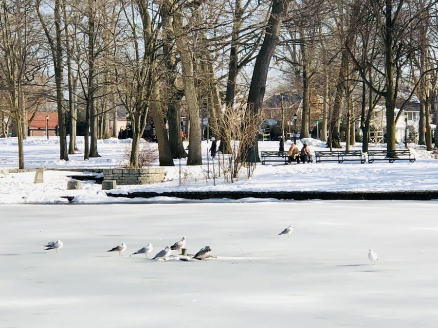 IMG_0354.jpg?type=w966